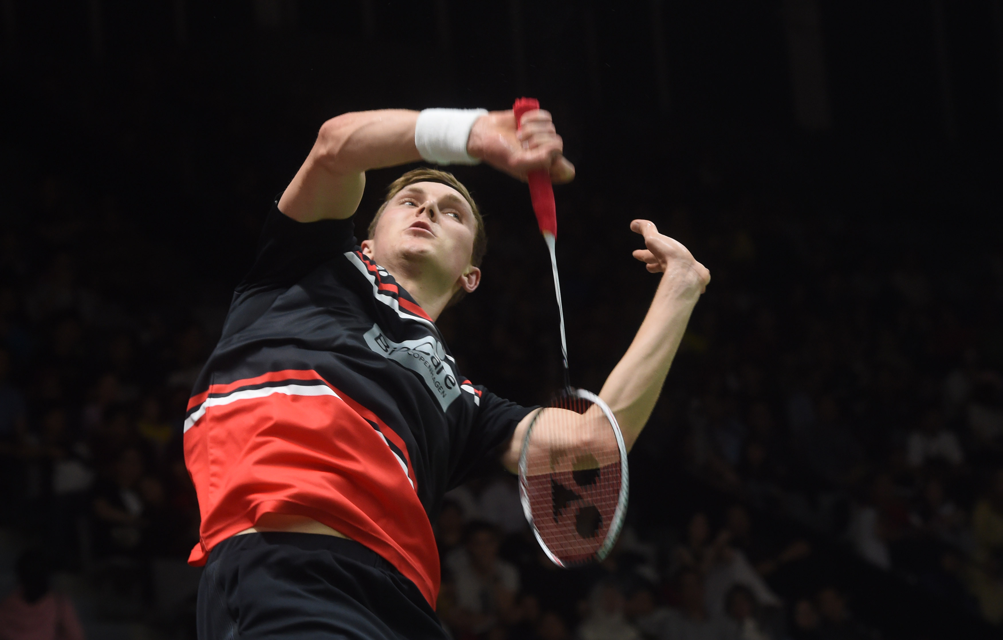 引入了诸多 引入了诸多