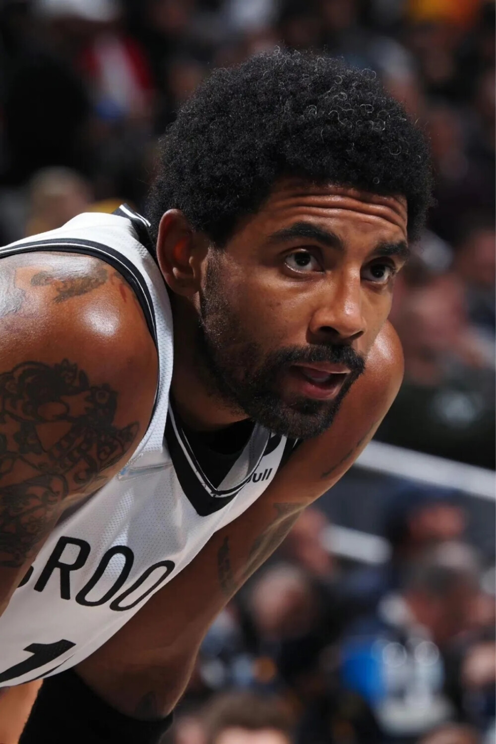 对位与地图 对位与地图