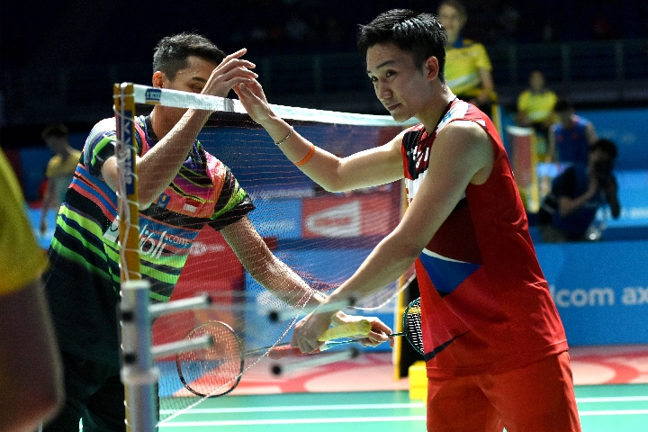 常见粗麻披 常见粗麻披